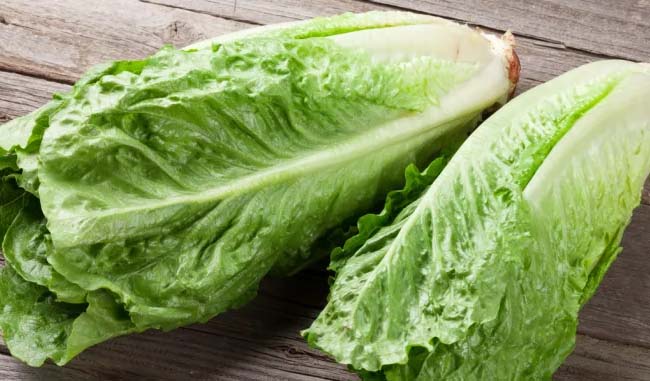 උතුරු ඇමරිකාවේ Romaine lettuce අවදානම